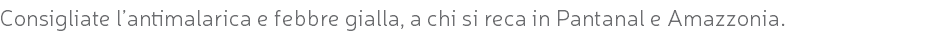 Consigliate l’antimalarica e febbre gialla, a chi si reca in Pantanal e Amazzonia.