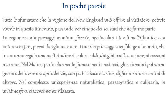 In poche parole Tutte le sfumature che la regione del New England può offrire al visitatore, potrete viverle in questo itinerario, passando per cinque dei sei stati che ne fanno parte. La regione vanta paesaggi montani, foreste, spettacolari litorali sull’Atlantico con pittoreschi fari, piccoli borghi marinari. Uno dei più suggestivi foliage al mondo, che in autunno regala una moltidudine di colori caldi, dal giallo all’arancione, al rosso, al marrone. Nel Maine, particolarmente famoso per i crostacei, gli estimatori potranno gustare delle vere e proprie delizie, con piatti a base di astice, difficilmente riscontrabili altrove. Nel complesso, un’esperienza naturalistica, paesaggistica e culinaria, in un’atmosfera piacevolmente rilassata.